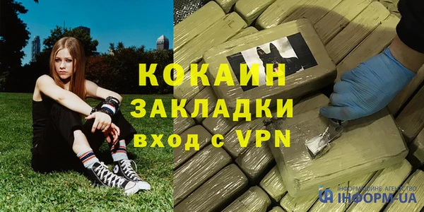 хмурый Белокуриха