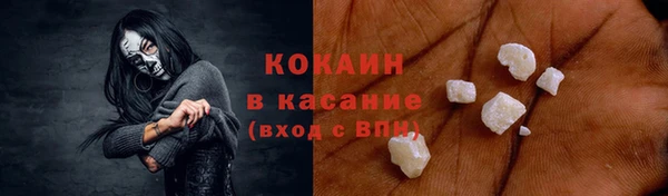 хмурый Белокуриха
