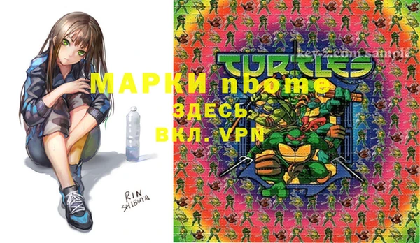 хмурый Белокуриха
