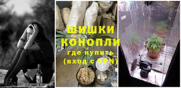 эйфоретик Белоозёрский