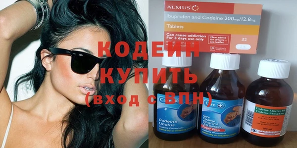 хмурый Белокуриха