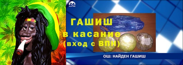 хмурый Белокуриха