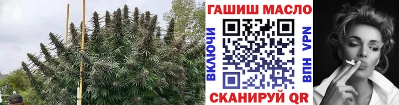 Дистиллят ТГК концентрат  где найти наркотики  Красный Холм 